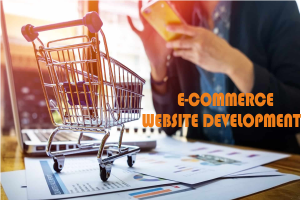 eCommerce-web-development-searchenginelabs